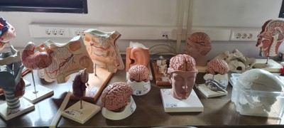 Obr. 2 Anatomická knihovna.jpg