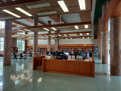 image13.jpeg