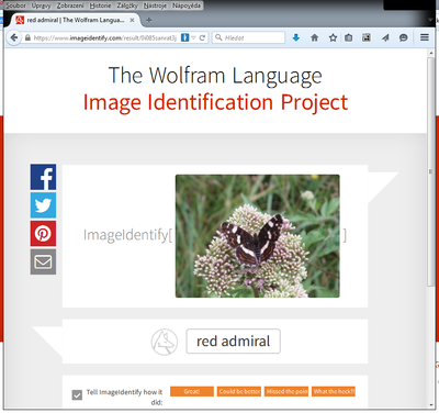 Obrazek 6 - Wolfram-IIP-babocka.png Obrazek 6 - Wolfram-IIP-babocka.png